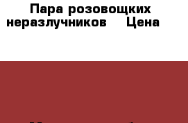 Пара розовощких неразлучников  › Цена ­ 2 700 - Московская обл., Пушкинский р-н, Пушкино г. Животные и растения » Птицы   